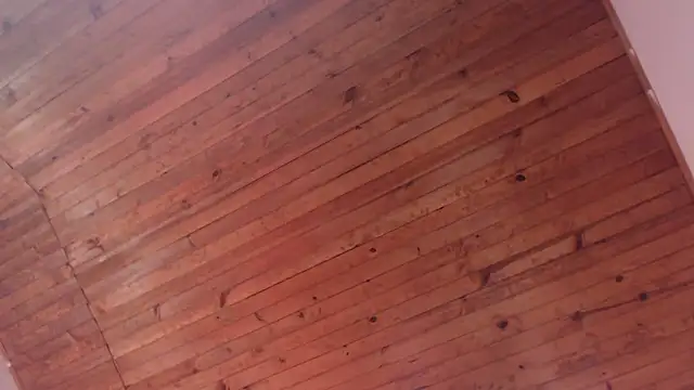 ArturoCardona_ Live XXX-chat