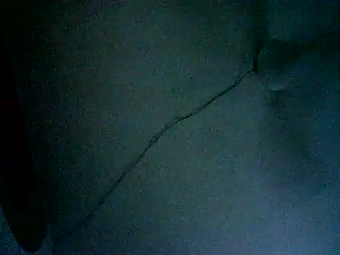 Show de webcam de naomitrans32