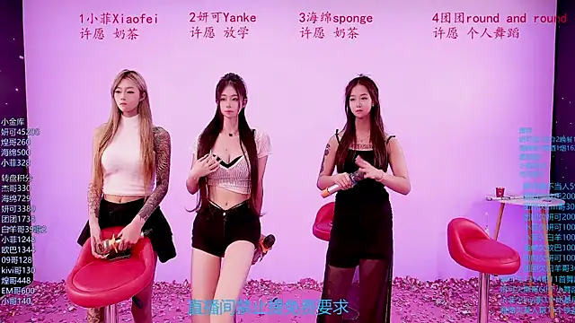 stt0708 – Kamerová šou