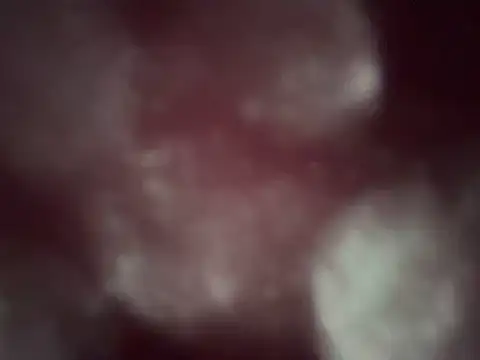 Jaropol Live XXX-chat