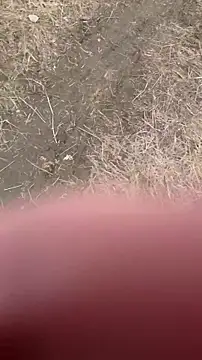 salfetka_sex Webcamshow