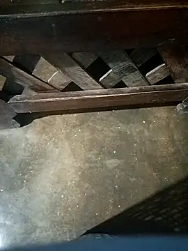 Czat XXX na żywo – carol406