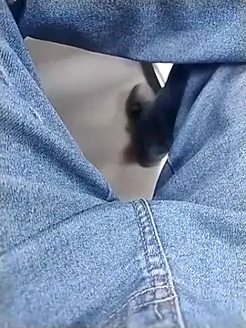 Show de webcam de engineer_1980