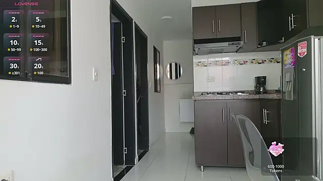 Webkamerová show grey___27