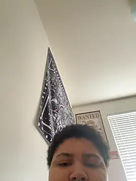 Show webcam de Ectorius