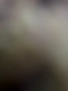 anonimgirl18old Chat XXX live