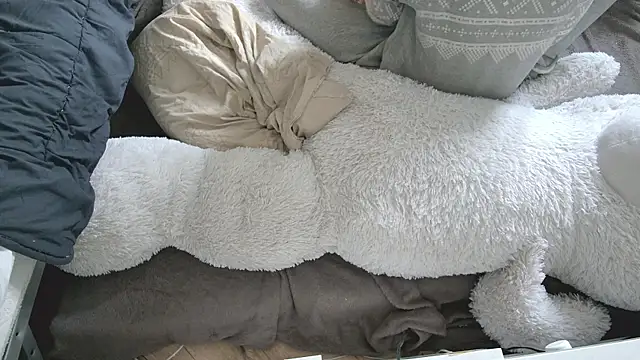 Show Webcam de CeriseLapine