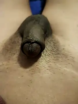 PpCharlie_8-D 网络视讯表演