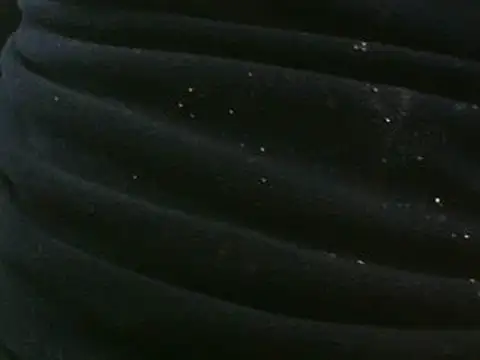 โชว์เว็บแคมของ vuran691