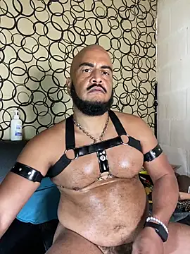 the_master_foal_ webkamerás műsora