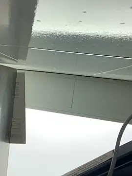 hailzeffn Live XXX-chat