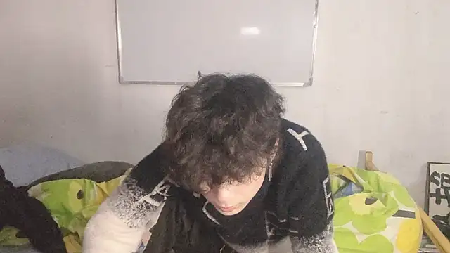 Show webcam de xiatianjun