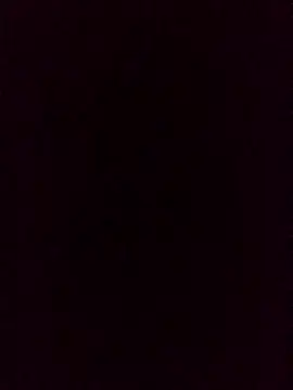 Show Webcam de picudo100