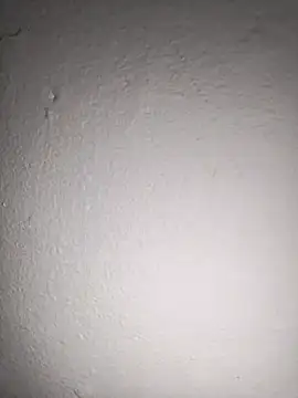 Annerae 现场XXX聊天