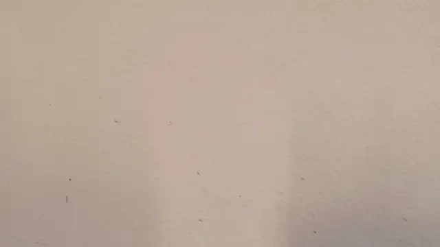 Chris_Green Adlı Modelin Canlı XXX Sohbeti