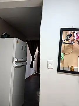 Show de webcam de marfil_milf