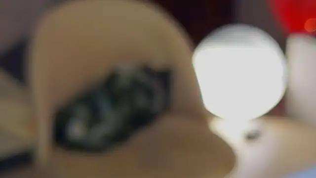 sinteas 现场XXX聊天