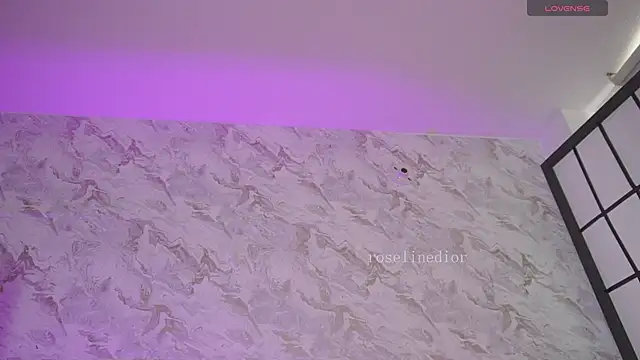 Chat +18 de roselinedior ao vivo