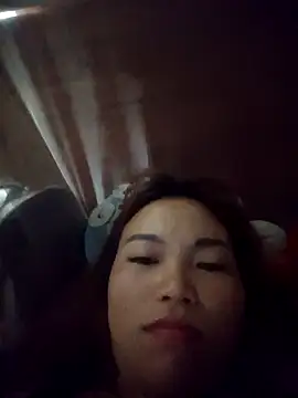 แชท XXX สดของ Big-rabbit