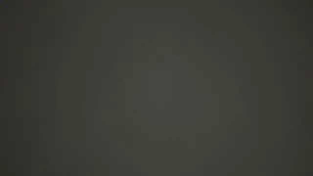 Pertunjukan Kamera Web rodden17