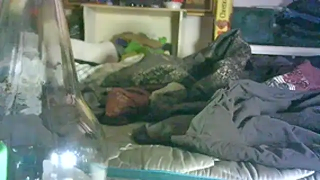 Pertunjukan Kamera Web GUAPAN3S3_FIR3