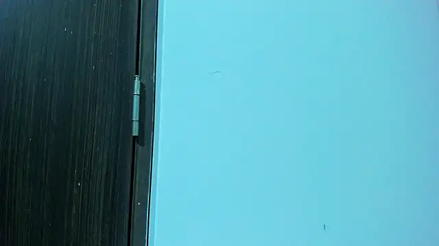 แชท XXX สดของ Gael_Saint