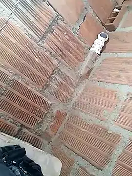 hoteder 网络视讯表演