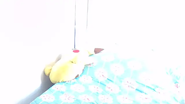 braguitashumedas – Live XXX-chat