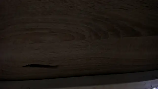 DylanRoyce_ webcam show