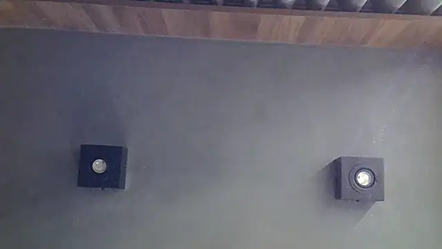 SkinnyKitten's Webcam Show