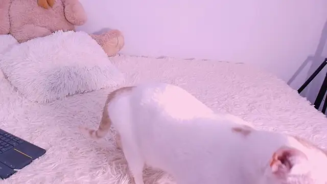 DannaHyde Obrolan Langsung XXX