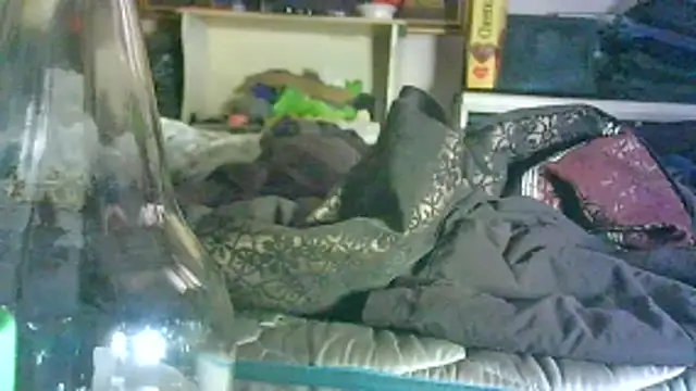 GUAPAN3S3_FIR3 লাইভ XXX চ্যাট