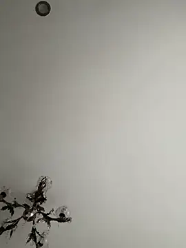 Show Webcam de Michel_huge