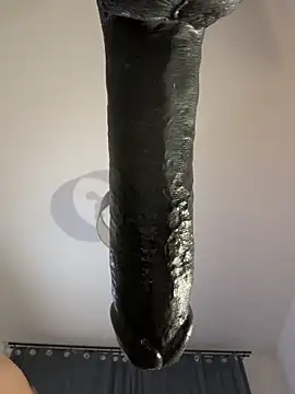 Jaropol 在線直播表演