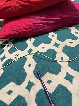 Jaropolのウェブカメラショー