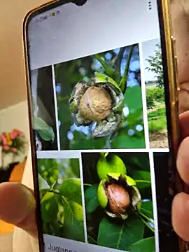 Živý XXX chat SweetMaddy888