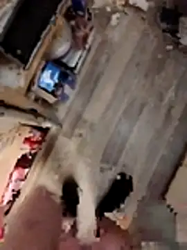 Hornyguynotshy198214 webkamerás műsora