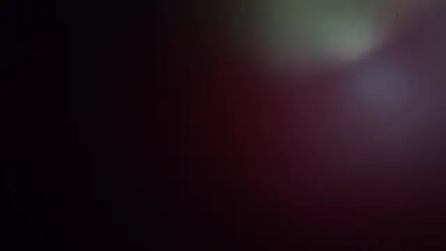 leilei998 Chat XXX live