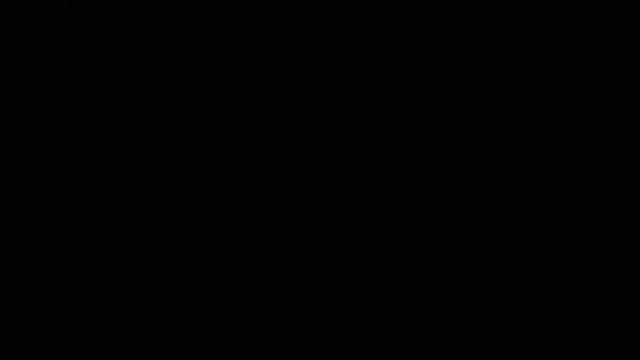 Show webcam de Manusomer