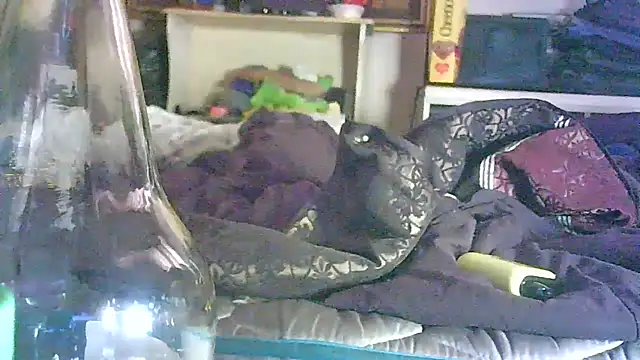 GUAPAN3S3_FIR3 라이브 XXX 채팅