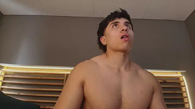 PaulEvens:  διαδικτυακό σόου στην κάμερα