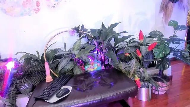 alanhaa Live XXX-Chat