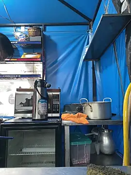 diegoand0911 Webcamshow