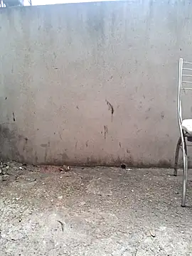 Tacafogonabaga 网络视讯表演