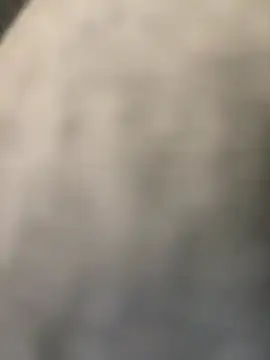 Bunny72772 라이브 XXX 채팅