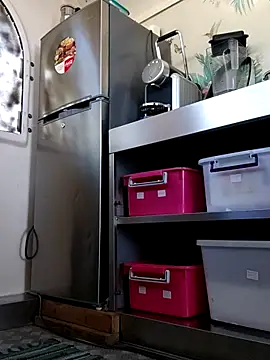 Show webcam de emiliemilf