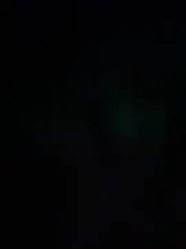 Sembang XXX Secara Langsung Evelin199