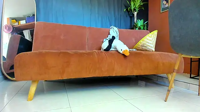 โชว์เว็บแคมของ papipills