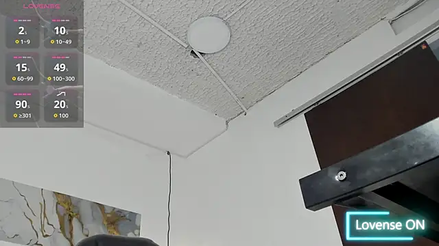 Dyla_n18n Webbikameraesitys