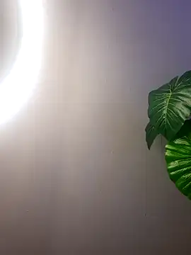 Chat +18 de Andrea_secret_ ao vivo